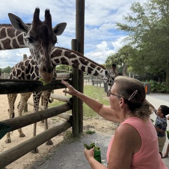 Gulf Breeze Zoo - Zoos Near Me - Gulf Breeze, Florida Gulf Breeze Zoo - Zoos Near Me - Gulf Breeze, Florida