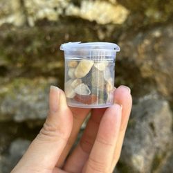 Gold Bug Park & Mine - Gem Panning