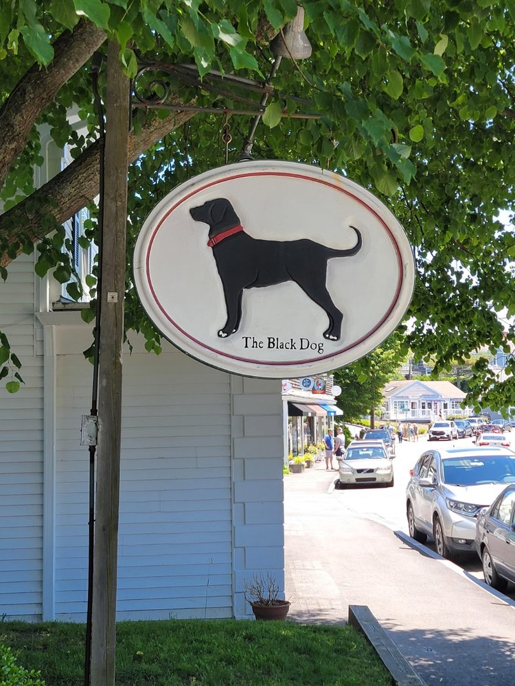 THE BLACK DOG GENERAL STORE CHATHAM 18 Photos Women's Clothing