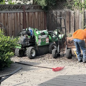 P & J Tree Services - Tree Services Near Me - Fairfield, California