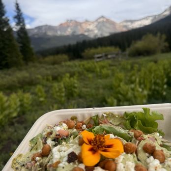 Counter Culture - They even added an edible flower! - American Near Me - Telluride, Colorado Counter Culture - They even added an edible flower! - American Near Me - Telluride, Colorado
