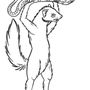 Photo of Mongoose Strength and Conditioning