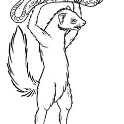 Mongoose Strength and Conditioning