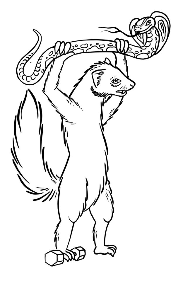 Mongoose Strength and Conditioning Logo