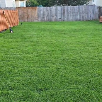 Cato Turf Solutions - Weed Control & Fertilization - Lawn Services Near Me - Griffin, Georgia Cato Turf Solutions - Weed Control & Fertilization - Lawn Services Near Me - Griffin, Georgia