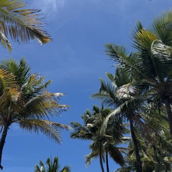 Numero Uno Beach House - The vibes - Caribbean Near Me - San Juan, Puerto Rico Numero Uno Beach House - The vibes - Caribbean Near Me - San Juan, Puerto Rico