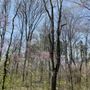 Photo of Scales Lake Park