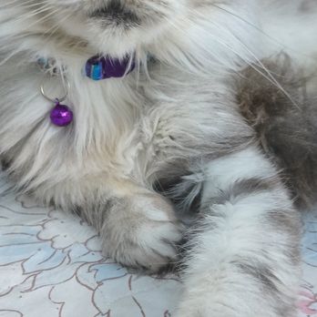 SUTTER AUBURN FAITH HOSPITAL - Updated February 2026 - 14 Photos & 105