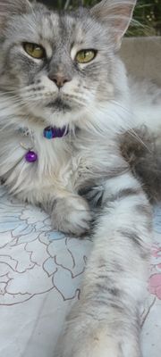 SUTTER AUBURN FAITH HOSPITAL - Updated February 2026 - 14 Photos & 106