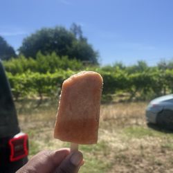 Johnson U-Pick Farm
