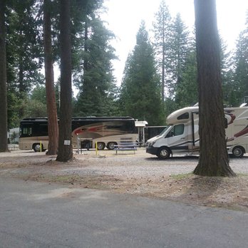 Abrams Lake Rv Park - Great Rv Park lovely Park host - RV Parks Near Me - Mount Shasta, California