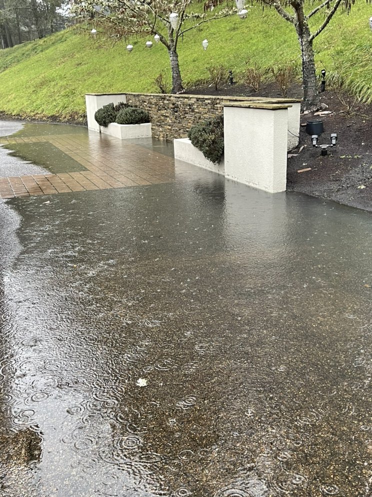 Slide of Busy Bee Drain