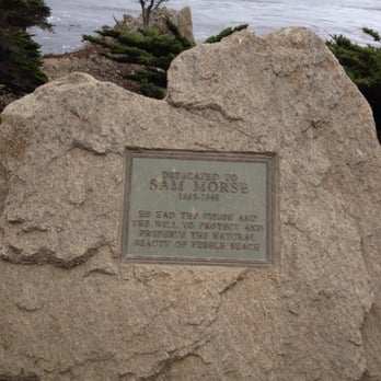 The Lone Cypress - Landmarks & Historical Buildings Near Me - Del Monte Forest, California