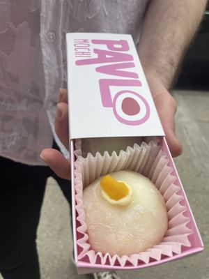 Pavlo Mochi by null