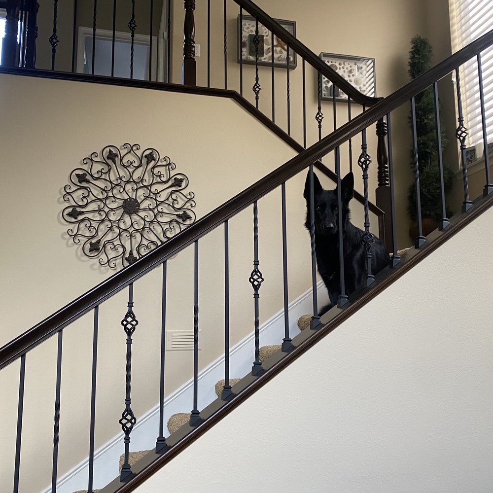 Stairs Plus More - New balusters and stained handrail - General Contractors Near Me