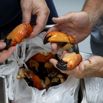 Woodside - Georgia Stone Crab, available year-round! - Breakfast & Brunch Near Me - St Simons Island, Georgia Woodside - Georgia Stone Crab, available year-round! - Breakfast & Brunch Near Me - St Simons Island, Georgia