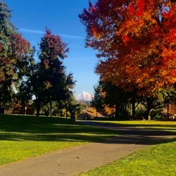 Summerfield Golf & Country Club - Looking back at Mt Hood from tee.