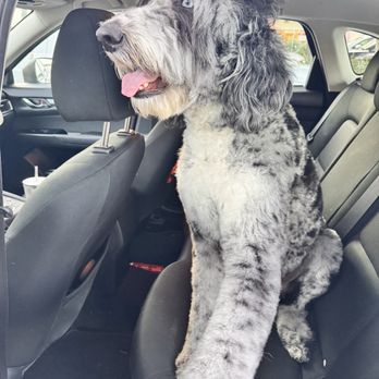PetSmart - Pet Stores Near Me - Sacramento, California