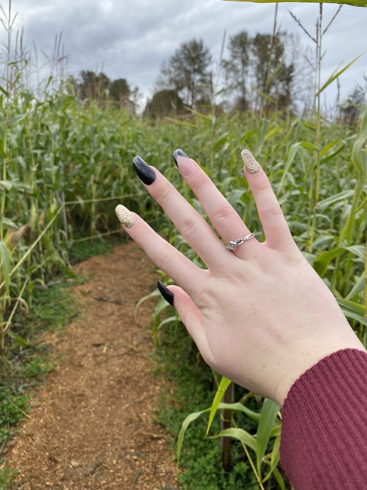 THE NAIL LOUNGE Updated August 2024 33 Photos 1925 Bowen Road