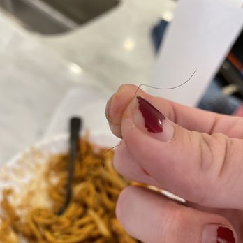China Gourmet - Lo mein with hair - Chinese Near Me - Naples, Florida