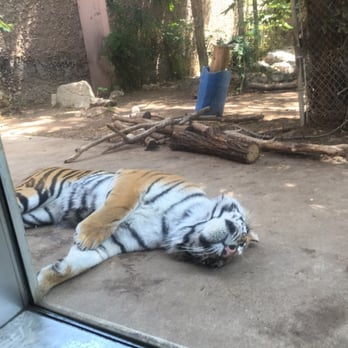 Denver Zoo - Zoos Near Me - Denver, Colorado Denver Zoo - Zoos Near Me - Denver, Colorado