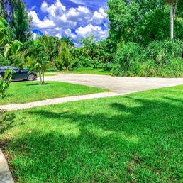 The yard looks amazing! The yard looks amazing!