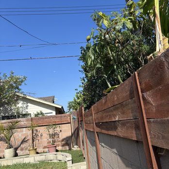 J Rodriguez Tree Care Maintenance - Trees cut right at the property line. - Tree Services Near Me J Rodriguez Tree Care Maintenance - Trees cut right at the property line. - Tree Services Near Me