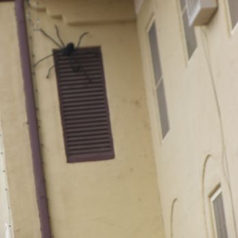 Jerome Grand Hotel - Now that's a huge spider!! left over from halloweeen!!!! - Hotels Near Me - Jerome, Arizona