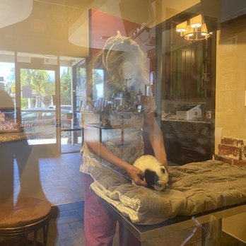 Beach Veterinary Hospital - Veterinarians Near Me - Long Beach, California Beach Veterinary Hospital - Veterinarians Near Me - Long Beach, California