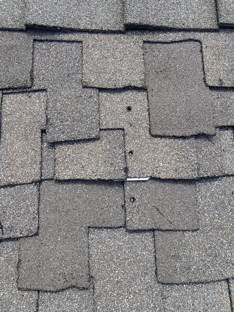 Slide of Semper Solaris