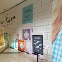 BallyHoo Banners - Wall Graphics