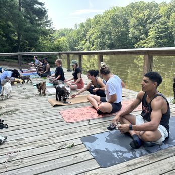 GGA Dwarf Goat Yoga - Goat yoga - Yoga Near Me - Tucker, Georgia GGA Dwarf Goat Yoga - Goat yoga - Yoga Near Me - Tucker, Georgia