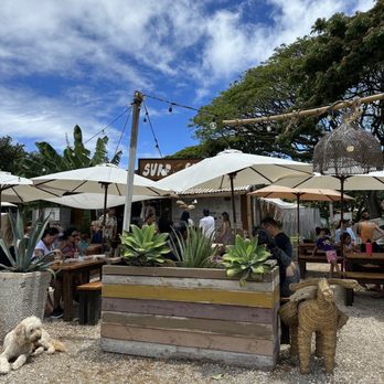 Surf N Salsa - Mexican Near Me - Waialua, Hawaii Surf N Salsa - Mexican Near Me - Waialua, Hawaii