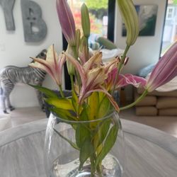 Sprouts Farmers Market - Droopy Iris's