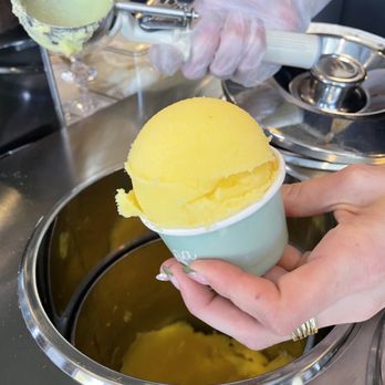 Piccolina - Mango scoop - Gelato Near Me - Fredericksburg, Texas