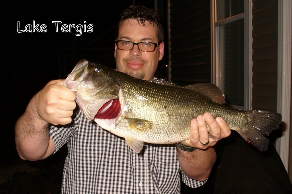 Lake Tergis Logo