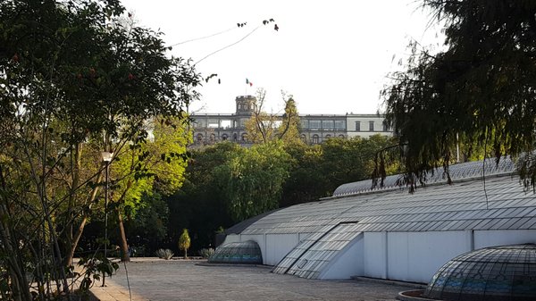 Jardín Botánico del Bosque de Chapultepec by null