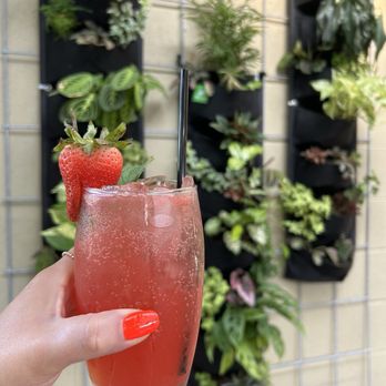 Greenhouse Cafe & Tavern - June Bug Bliss - Cafes Near Me - Burlington, Connecticut Greenhouse Cafe & Tavern - June Bug Bliss - Cafes Near Me - Burlington, Connecticut