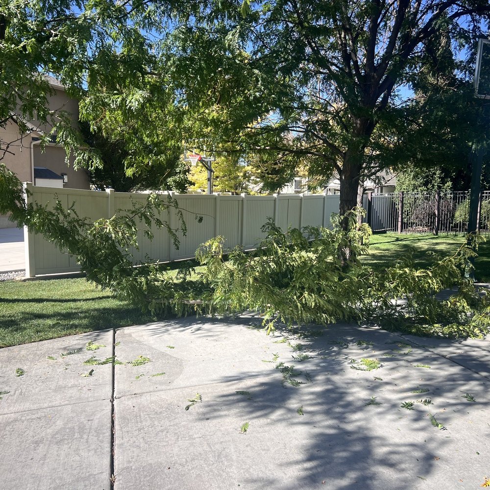 Haven Event Rentals - This is the tree their trailer hit when unloading. Didn't want to admit to the damage - Party Equipment Rentals Near Me Haven Event Rentals - This is the tree their trailer hit when unloading. Didn't want to admit to the damage - Party Equipment Rentals Near Me