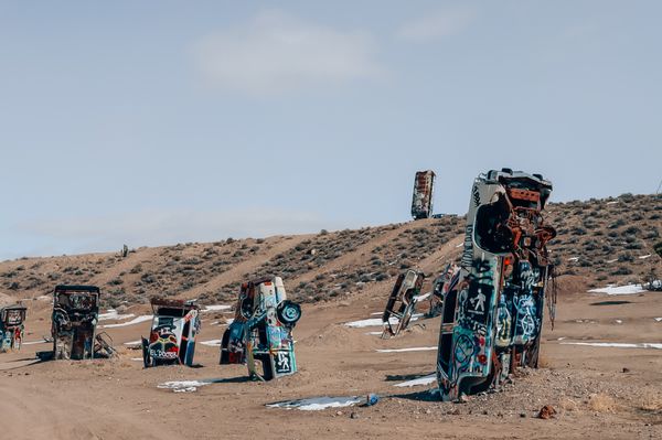 The International Car Forest by null