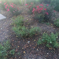 Borden Landscaping
