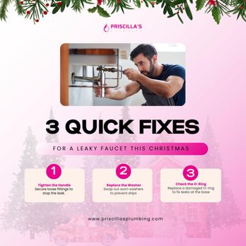 Priscilla's Plumbing - Quick Fixes - Plumbing Near Me - Oakland Park, Florida Priscilla's Plumbing - Quick Fixes - Plumbing Near Me - Oakland Park, Florida
