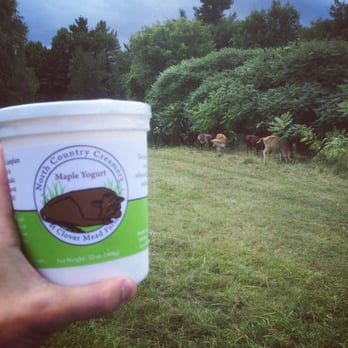 Clover Mead Farm Store - Love the Maple yogurt - Bakeries Near Me - Keeseville, New York