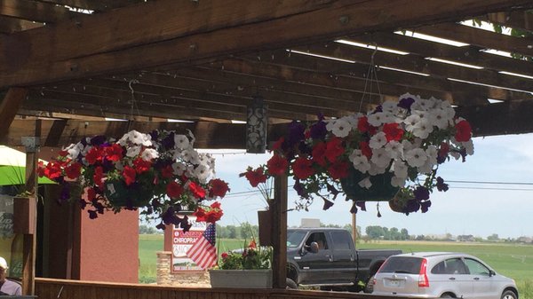 Derby Grille by null