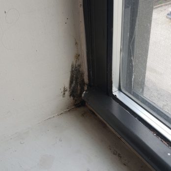 Mac Properties - Chicago - A few days without scrubbing window seals and you will see MOLD AND MILDEW form - Apartments Near Me - Chicago, Illinois