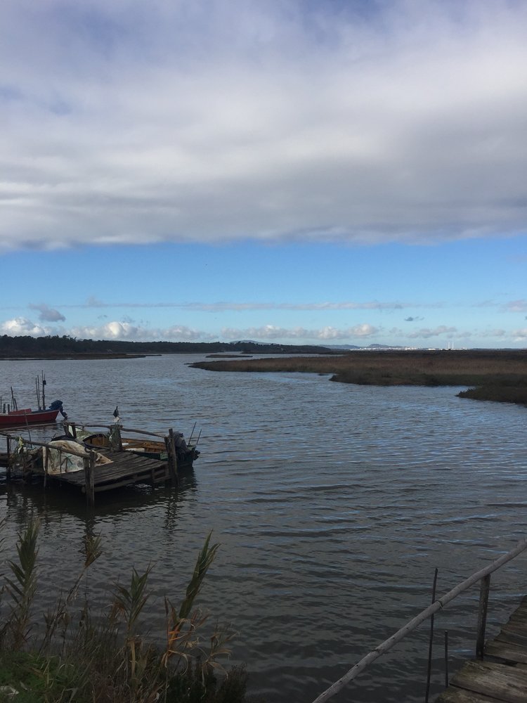 COMPORTA, 7580 ALCÁCER DO SAL Updated November 2024 14 Photos