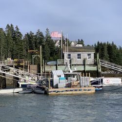 Cranberry Isles Fishermen's Co-Op