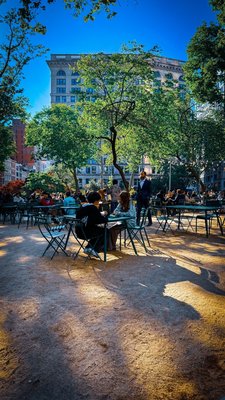 Madison Square Park by null