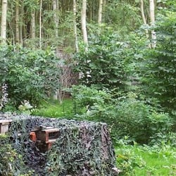 Paintball Jungle