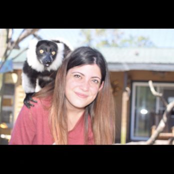 Exotic Animal Experience - Oh just hangin out with a lemur on my back , nothing to see here - Zoos Near Me Exotic Animal Experience - Oh just hangin out with a lemur on my back , nothing to see here - Zoos Near Me
